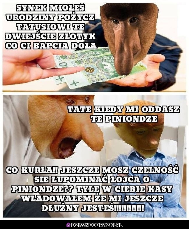 Synek weź pożycz