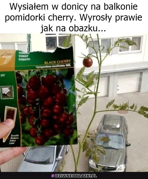 Ale mi się udało!