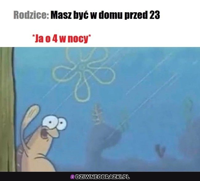 No hejka