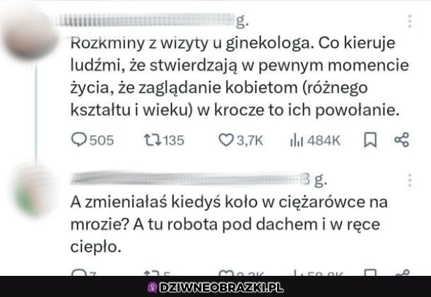 Rozkminy u ginekologa