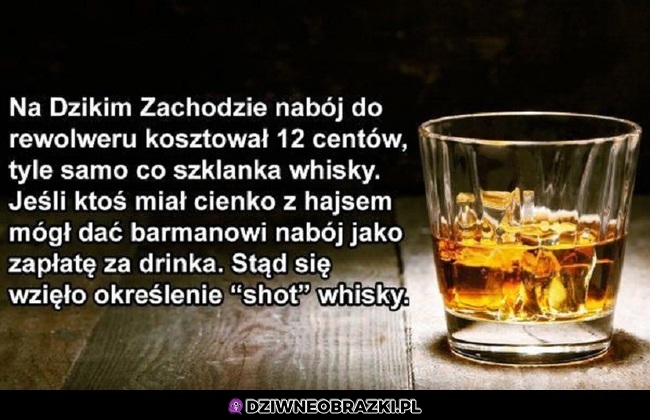 Shot