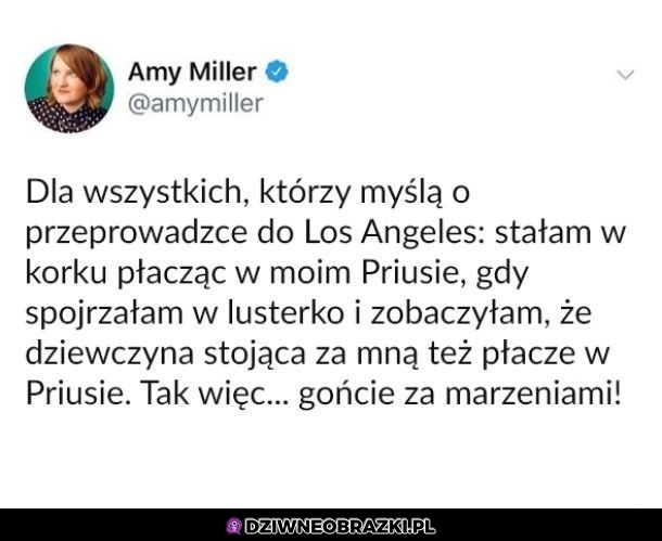 W Priusie