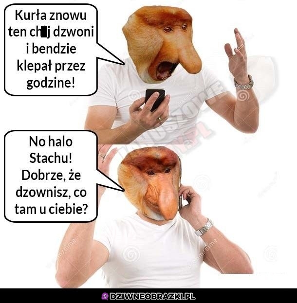 Kiedy znowu dzwoni Kiedy znowu dzwoni