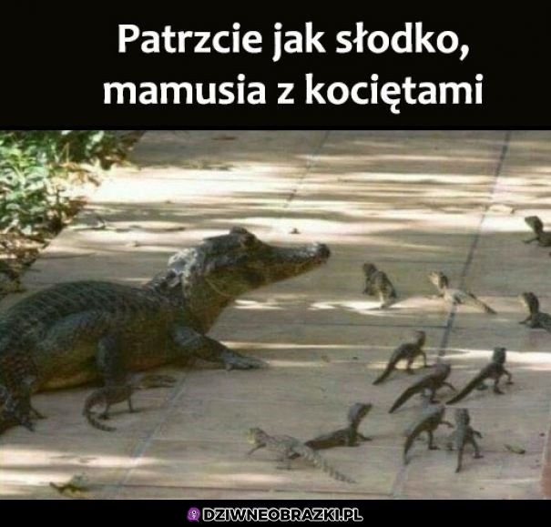 Jak słodko