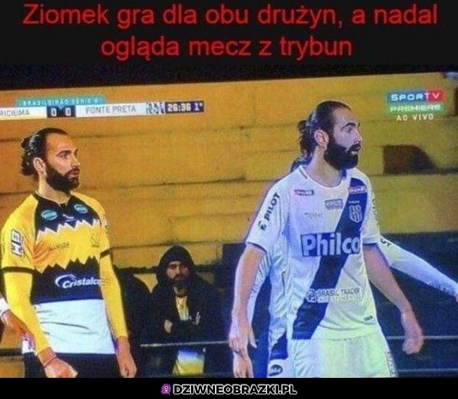 Wszędobylski