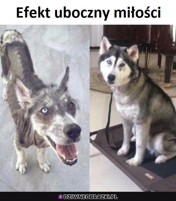 Najlepszy efekt