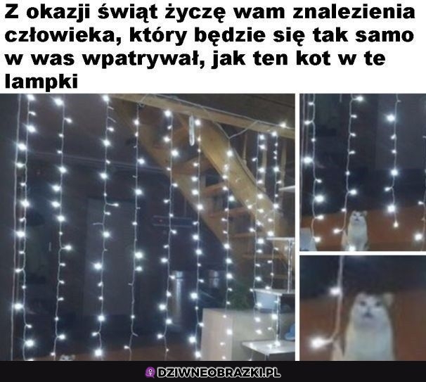 Życzenia świąteczne