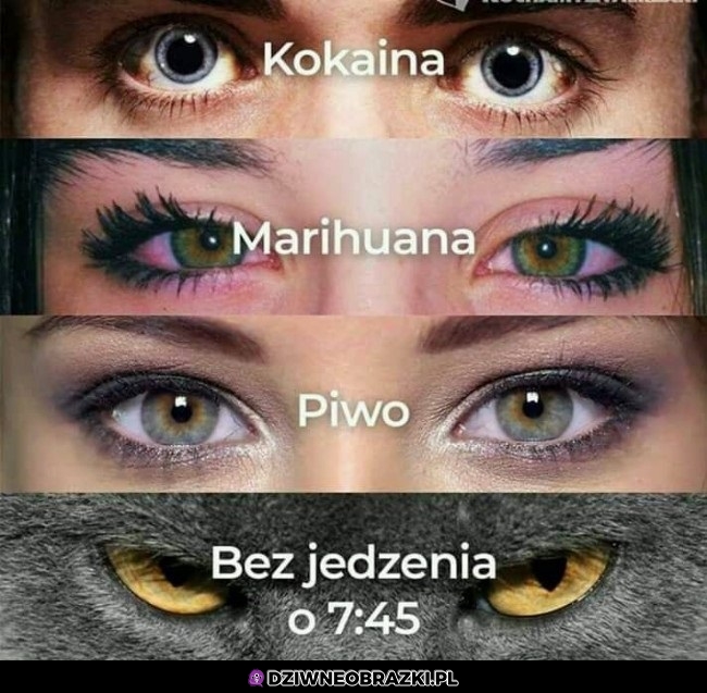 Ten wzrok