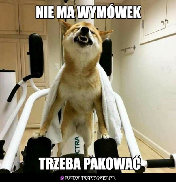 Bez wymówek