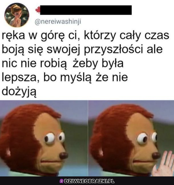 Ręka w górę