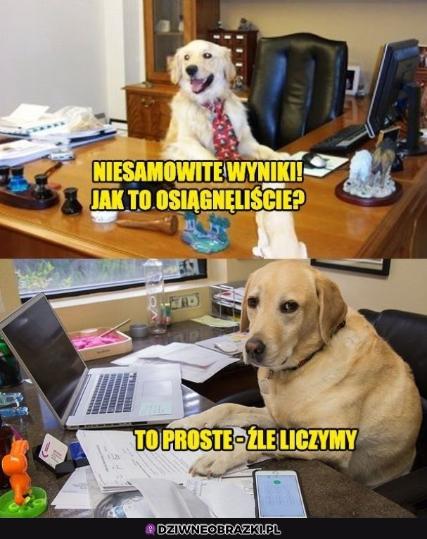 szczerość to podstawa