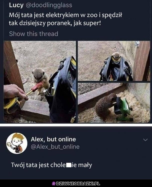 Dziwny ten tata
