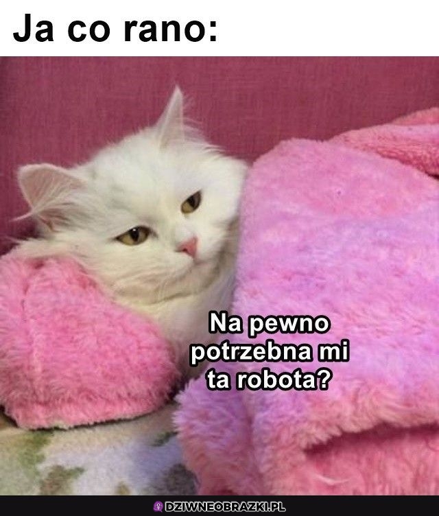 Ale na pewno na pewno?