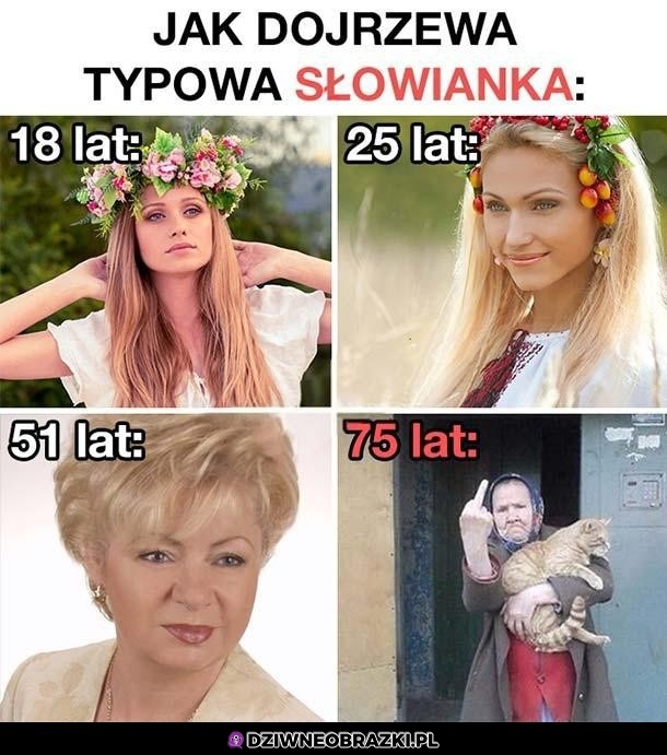 Są 4 etapy słowianek