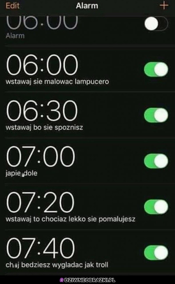 Budziki