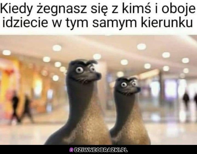Ten moment