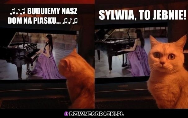 Dom na piasku