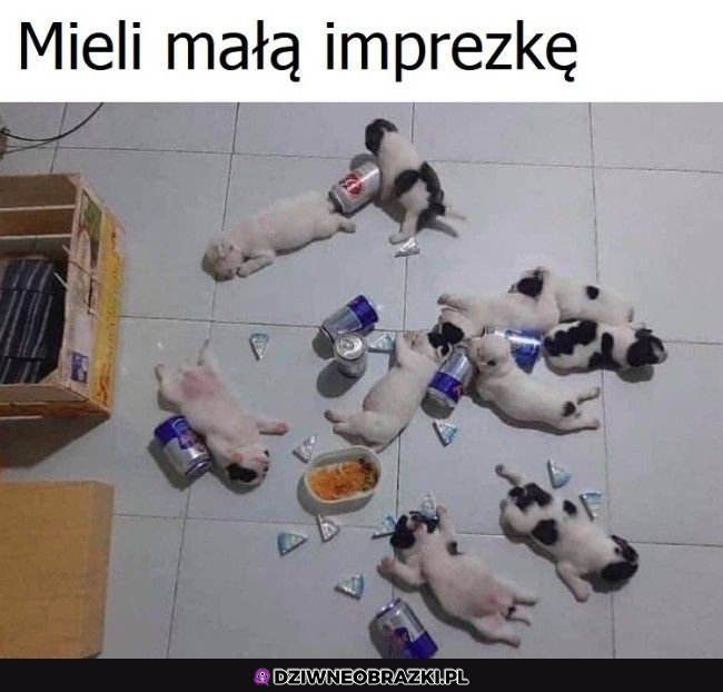 Musiało być grubiutko
