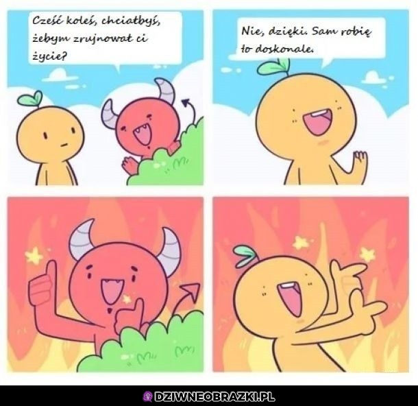 Nie trzeba, radzę sobie