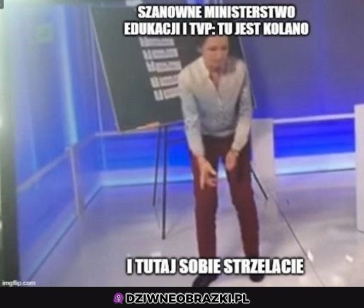 Na to wygląda