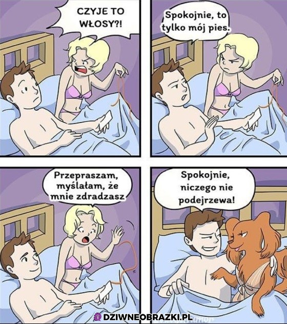 Niczego się nie domyśli