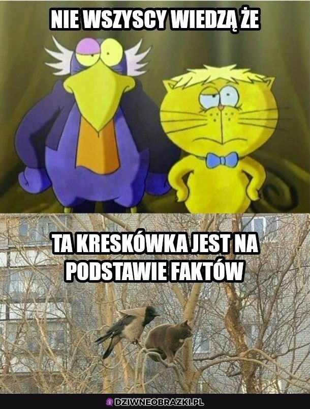 To oni