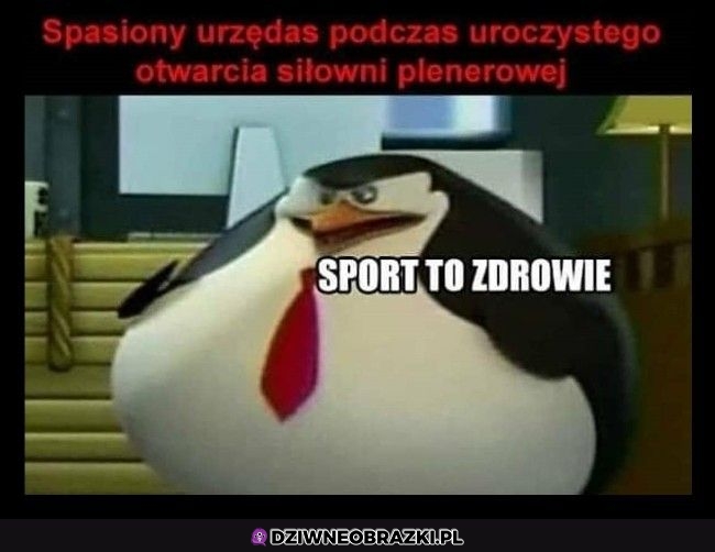 Sport to zdrowie