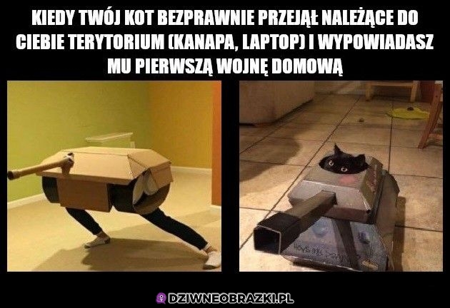 To oznacza wojnę