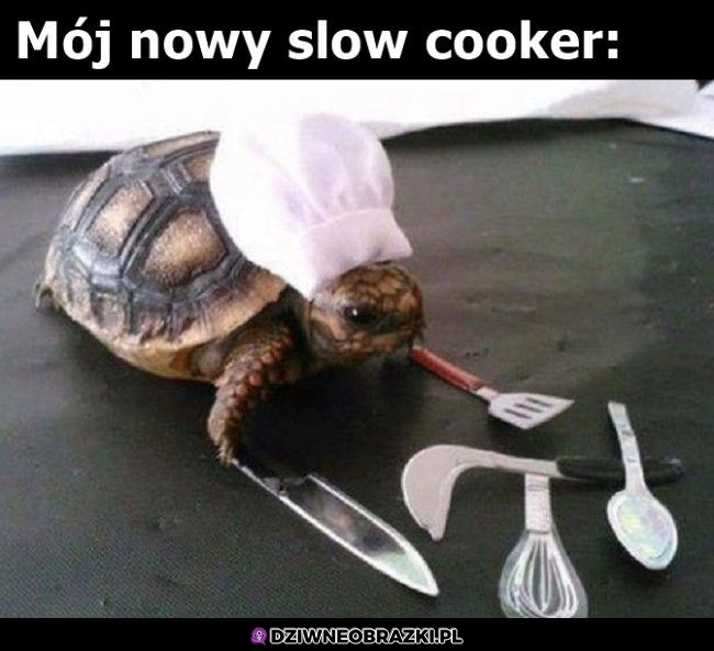 Faktycznie slow