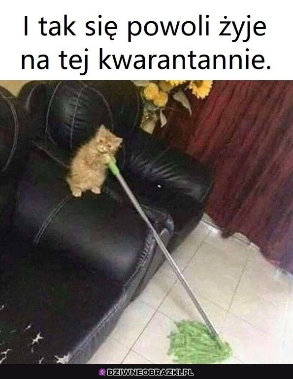 Pomału leci