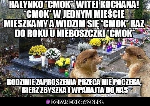 Już jutro