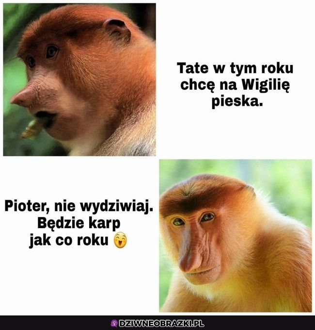 Na wigilię
