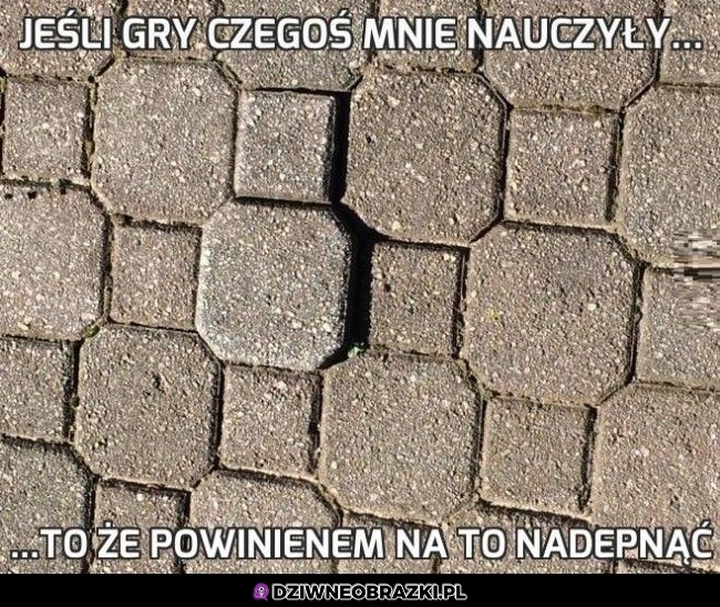 Tego się nauczyłem