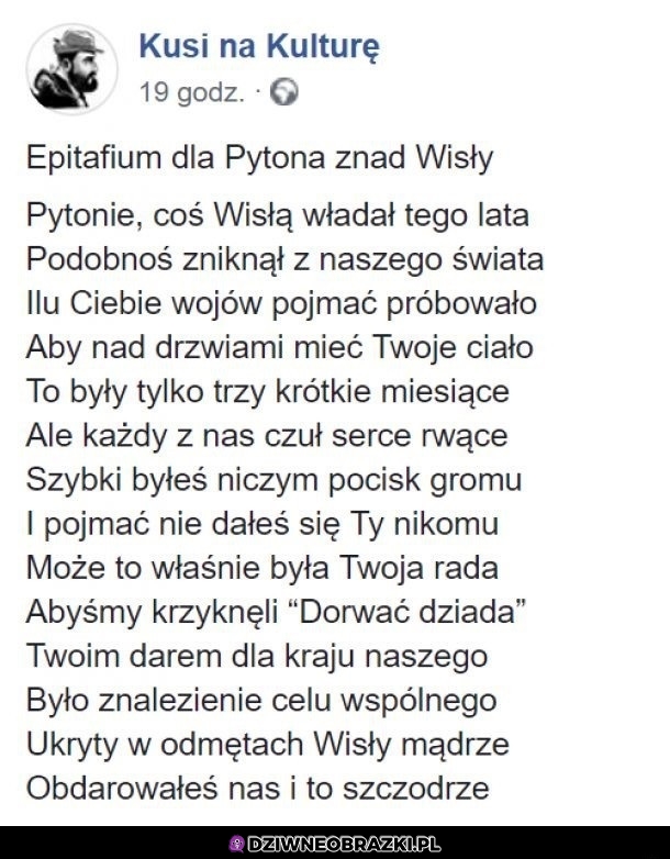 Epitafium dla pytona