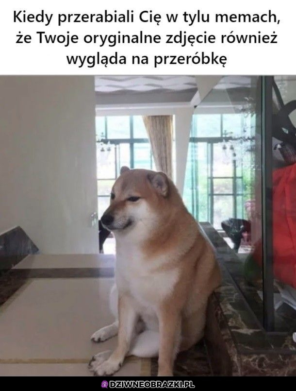 A więc tak wygląda oryginał