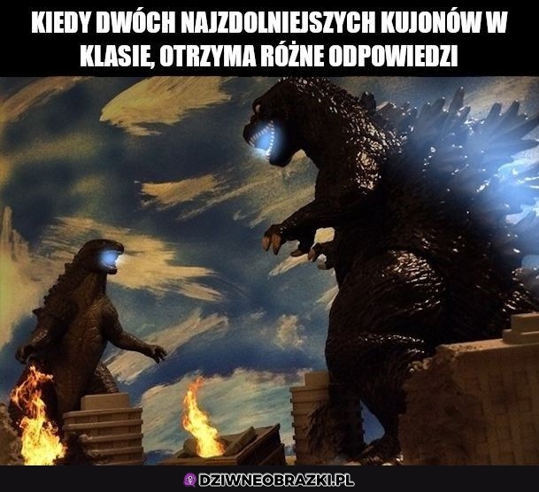 Tak to wygląda