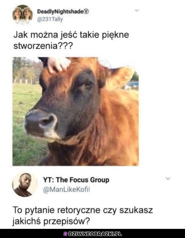 Pytanie