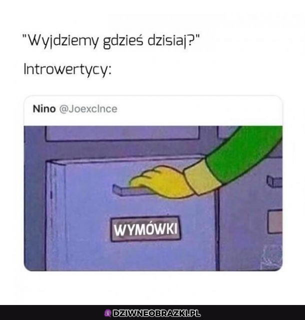 Niech no spojrzę