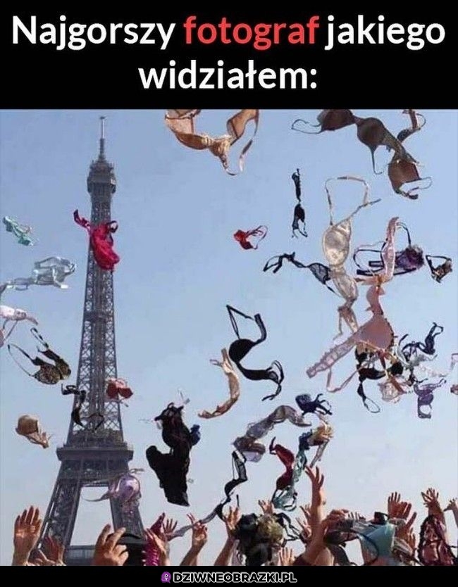 Poproszę zdjęcie niżej