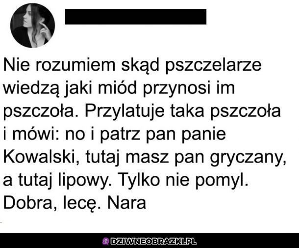 Pszczelarze