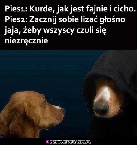 Zrób to