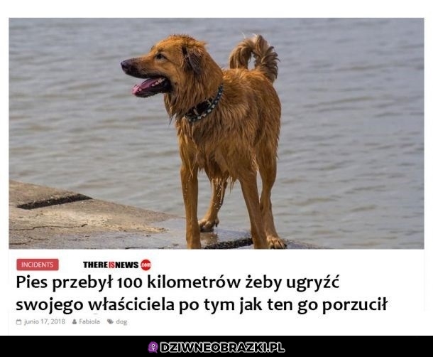 Szanuje