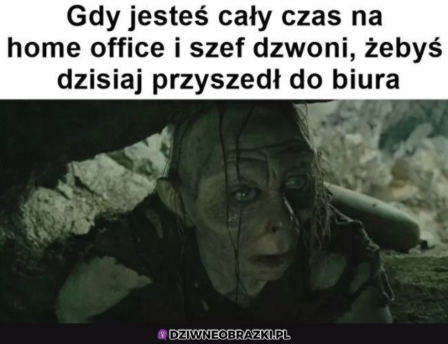 Co zrobił?