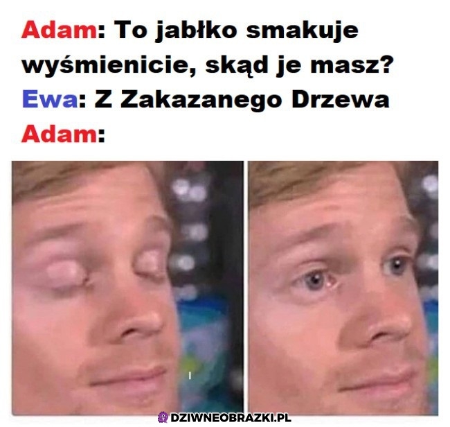 Jabłuszko