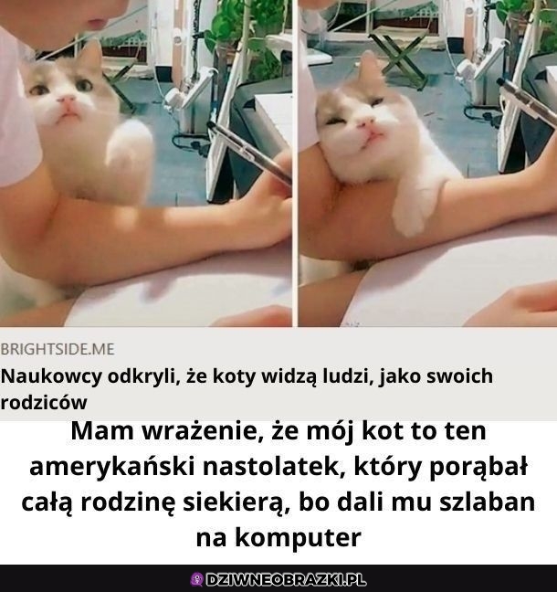 Takie wrażenie