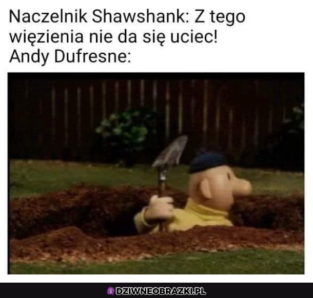 No to patrz