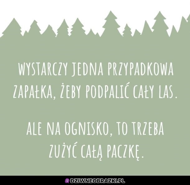 Właśnie