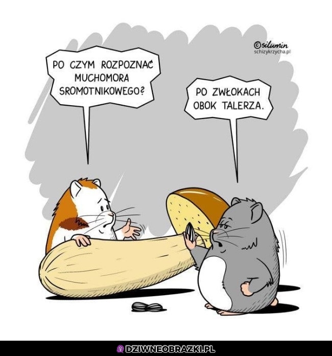 Po czym rozpoznac