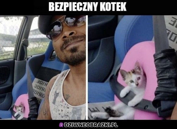 Zabezpieczony