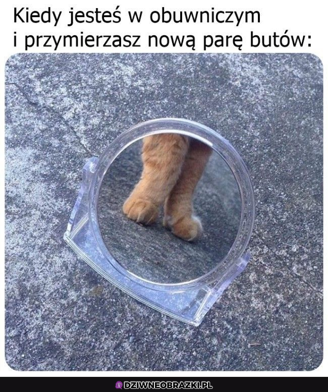 Piękne łapki, pasują idealnie :P